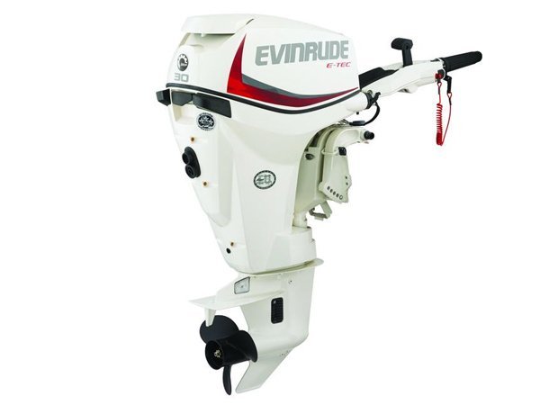 evinrude-19__44539_zoom-1.jpg 2018 Evinrude E-TEC 30 HP E30DRSL Outboard Motor - Image 1