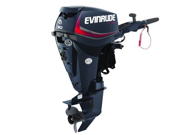 evinrude-21__24725_zoom-1-1.jpg 2018 Evinrude E-TEC 30 HP E30DRGL Outboard Motor - Image 1
