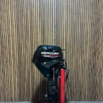 2025 Mercury 20 HP EFI outboard engine.