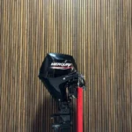2023 Mercury 25 HP EFI outboard engine.