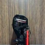Mercury 60 HP EFI outboard engine.