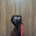 2025 Mercury F15EL outboard engine.